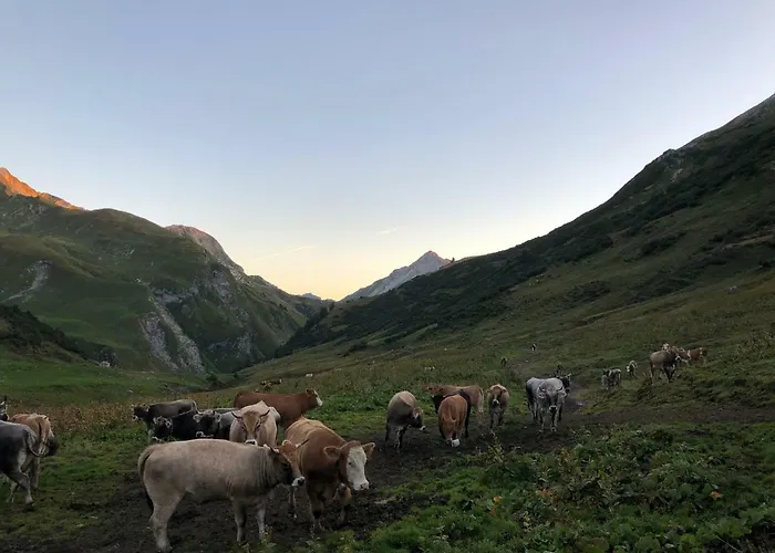 Landhaus Moosbrugger 3*