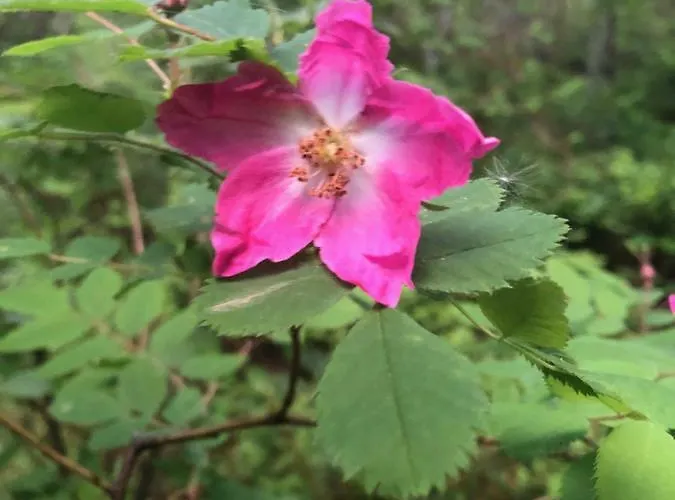 Landhaus Moosbrugger 3*