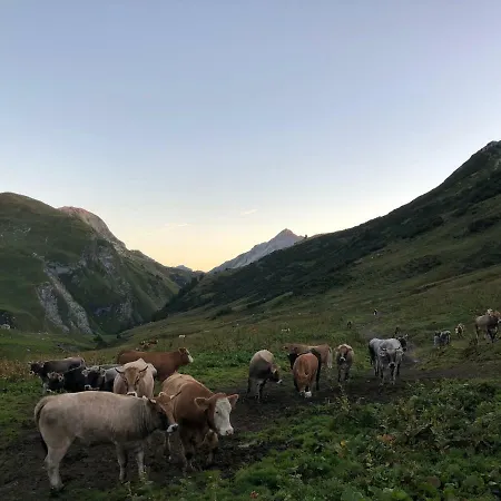 姆斯布鲁格兰德旅馆 3*