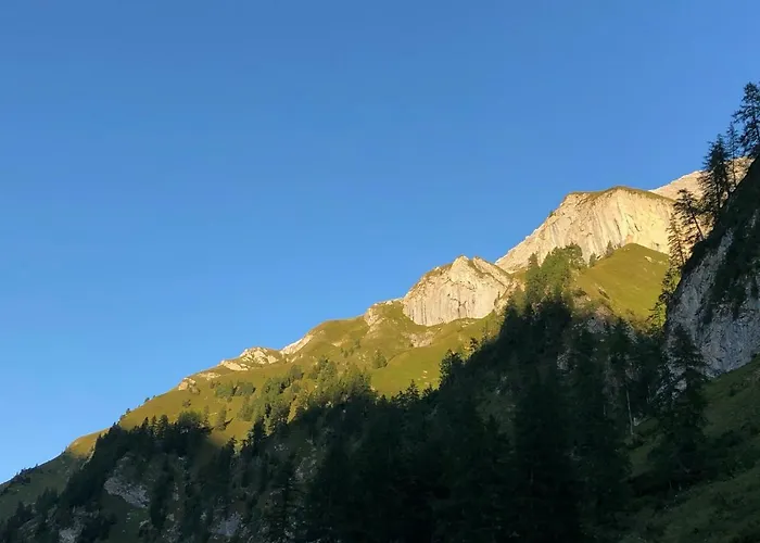 Gasthof Moosbrugger Steeg